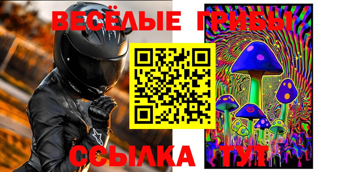 Миасс  Галлюциногенные грибы Psilocybe  Вход с VPN 
